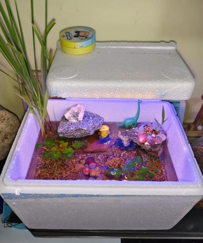 家庭养花用生根粉