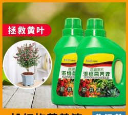 家庭养花用生根粉