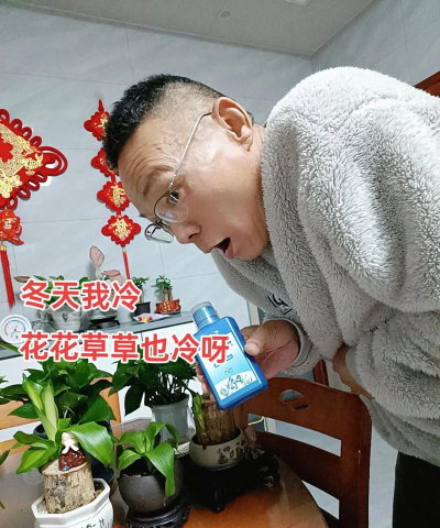 家庭养花用生根粉