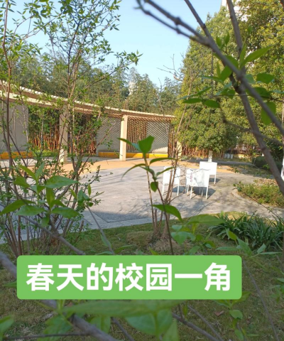 建独立学校养花好吗
