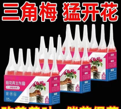 家庭养花用生根粉