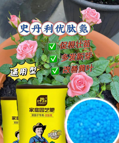 家庭养花用生根粉