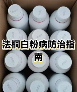 法桐白粉病发生及防治