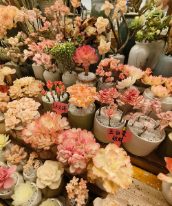 家庭养花用生根粉