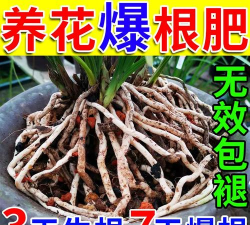 家庭养花用生根粉