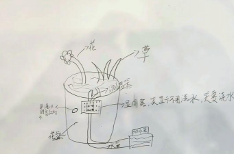 家庭养花用生根粉