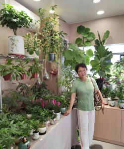 家庭养花用生根粉