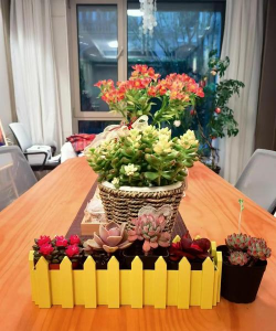 柿树虫病防治，识别常见虫害，掌握有效方法