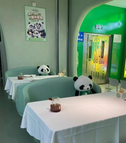 柿树虫病防治，识别常见虫害，掌握有效方法