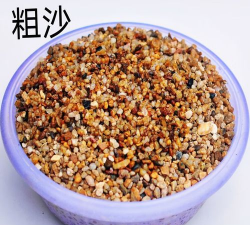 柿树虫病防治，识别常见虫害，掌握有效方法