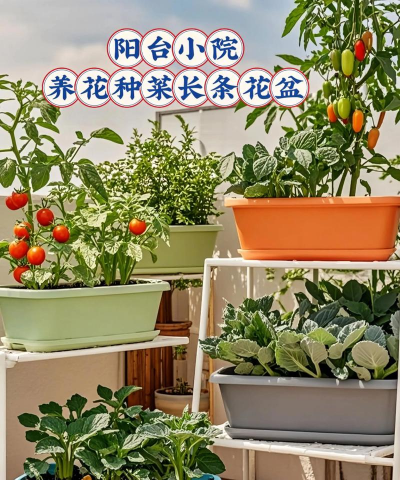 绿化景观设计，提升环境品质，创造宜人空间