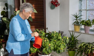 绿化景观设计，提升环境品质，创造宜人空间