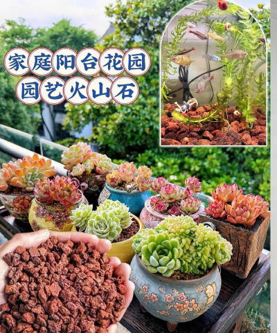 葡萄栽培，掌握关键技术，实现优质丰产