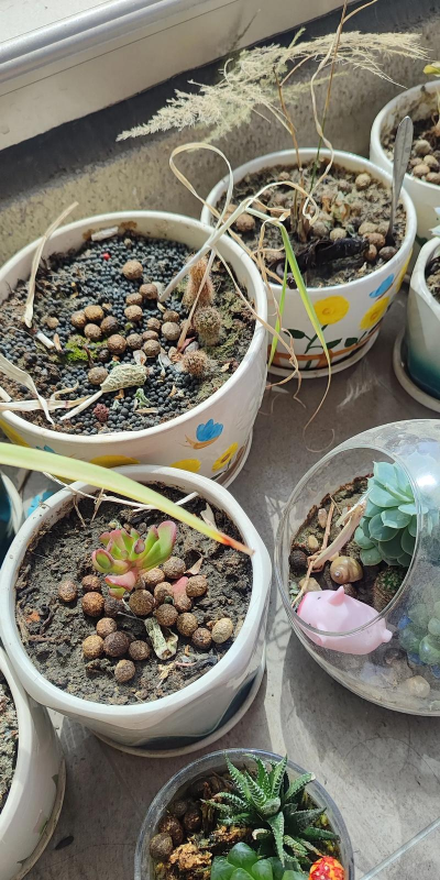 庭院景观绿化设计，打造舒适空间，提升生活品质