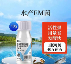 庭院景观绿化设计，打造舒适空间，提升生活品质