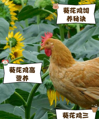 庭院景观绿化设计，打造舒适空间，提升生活品质