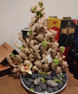 庭院景观绿化设计，打造舒适空间，提升生活品质