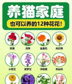 葡萄栽培，掌握关键技术，实现优质丰产