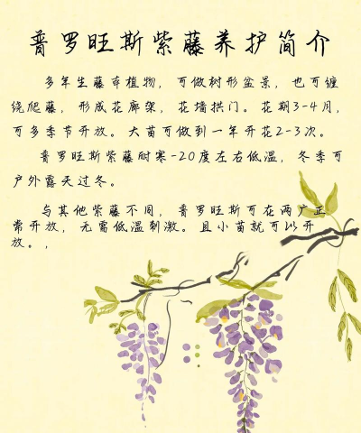 绿化景观设计，提升环境品质，创造宜人空间