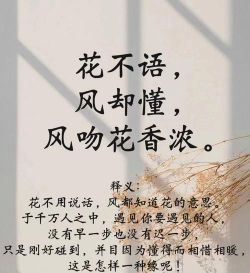 玫瑰花怎么养才不会枯萎，掌握浇水施肥技巧，轻松延长花期