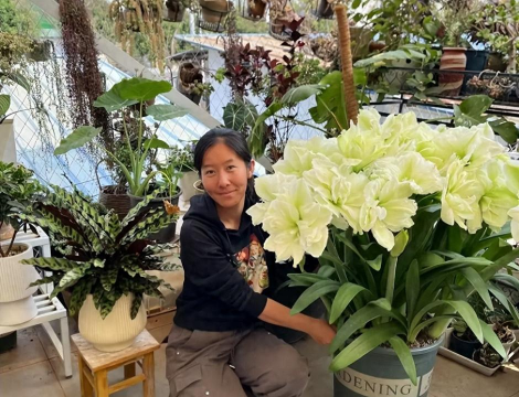 家庭养花用生根粉