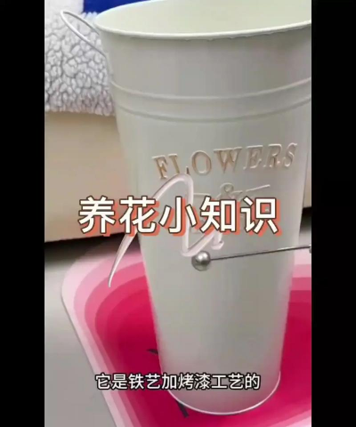 葡萄栽培，掌握关键技术，实现优质丰产
