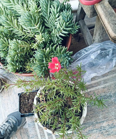 绿化景观设计，提升环境品质，创造宜人空间