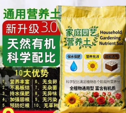 家庭养花用生根粉