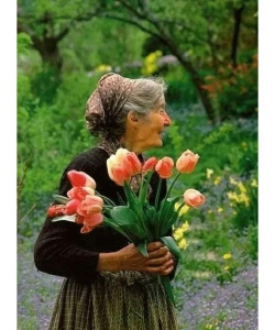 养花的外国奶奶