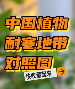 养花耐寒区域