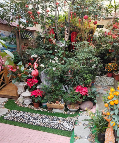 家庭养花用生根粉