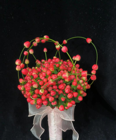 红豆怎么养成花