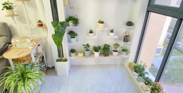 家庭养花用生根粉