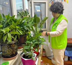 家庭养花用生根粉