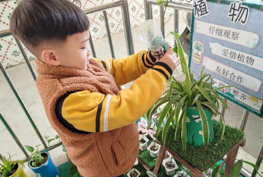 家庭养花用生根粉