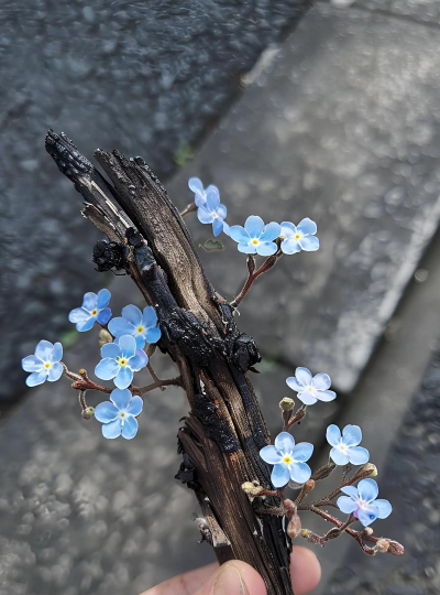 家庭养花用生根粉