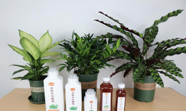 家庭养花用生根粉