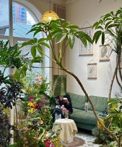 家庭养花用生根粉