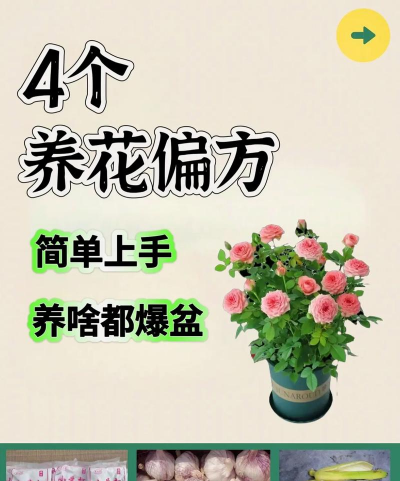 家庭养花用生根粉