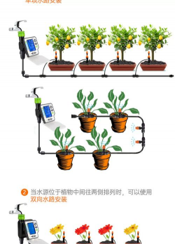 家庭养花用生根粉