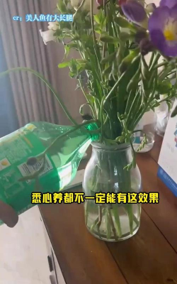 家庭养花用生根粉