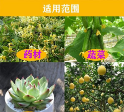 家庭养花用生根粉