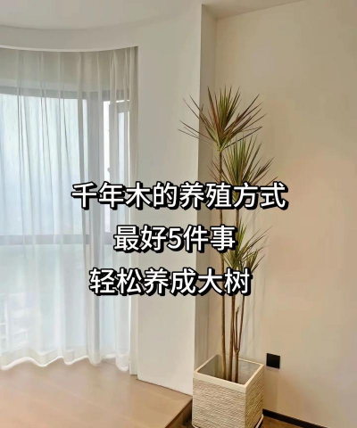 海檀木怎么养花