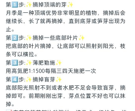 家庭养花用生根粉