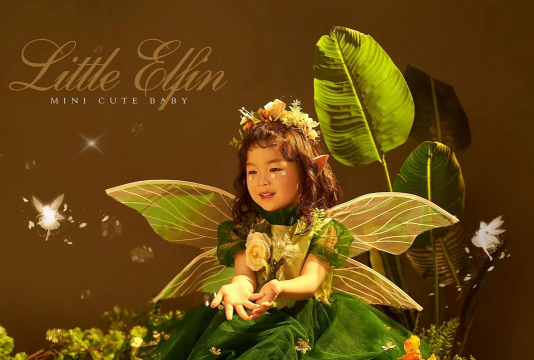 花仙子宝宝养花