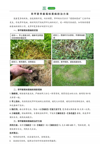台湾草坪草常见病虫害防治之一