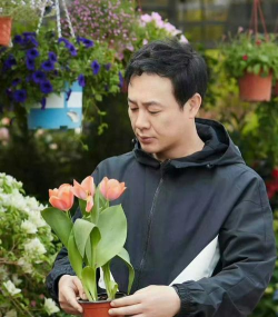 家庭养花用生根粉