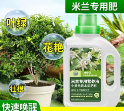 家庭养花用生根粉