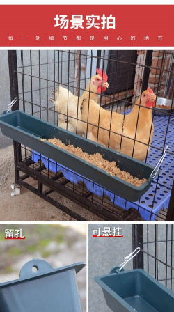 绯花玉怎么养，掌握关键技巧，轻松养出好状态