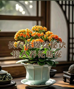 别墅园林绿化设计，打造私密空间，提升居住品质